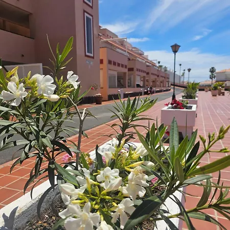 Lejlighed The Heights 2 Bedroom Los Cristianos (Tenerife)