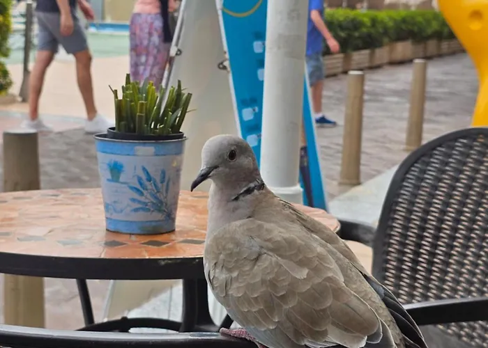 The Heights 2 Bedroom Apartament