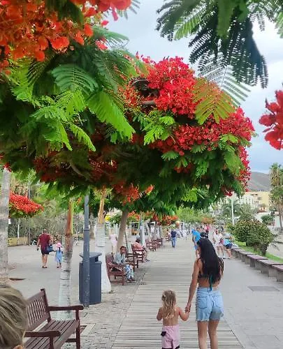 The Heights 2 Bedroom