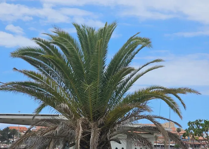 The Heights 2 Bedroom Apartment