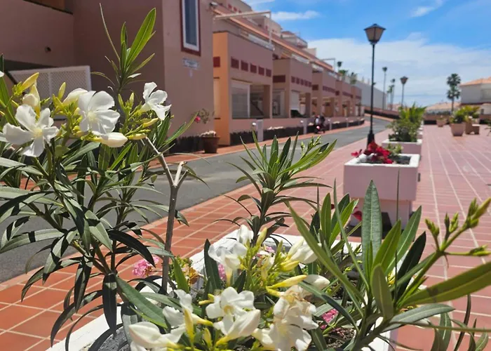 Apartment The Heights 2 Bedroom Los Cristianos (Tenerife)