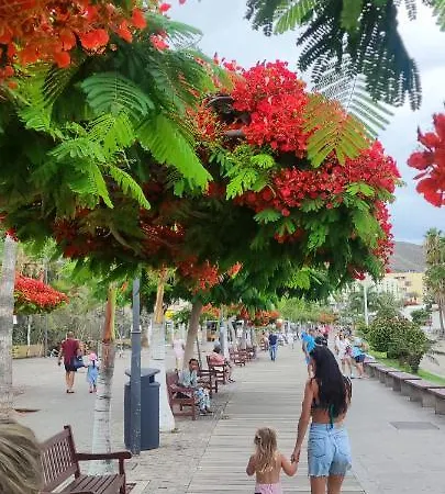 The Heights 2 Bedroom