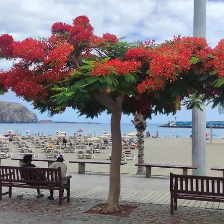 The Heights 2 Bedroom * 洛斯克里斯蒂亚诺斯