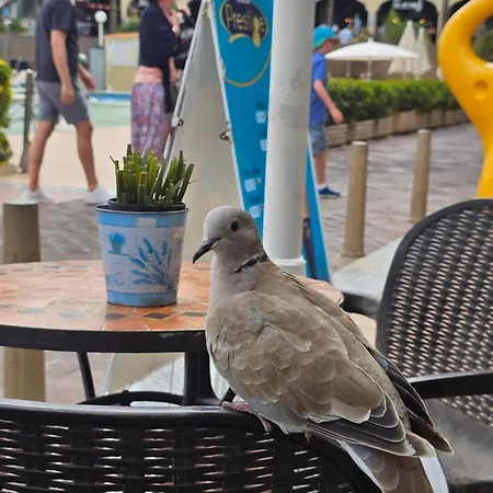 The Heights 2 Bedroom 公寓